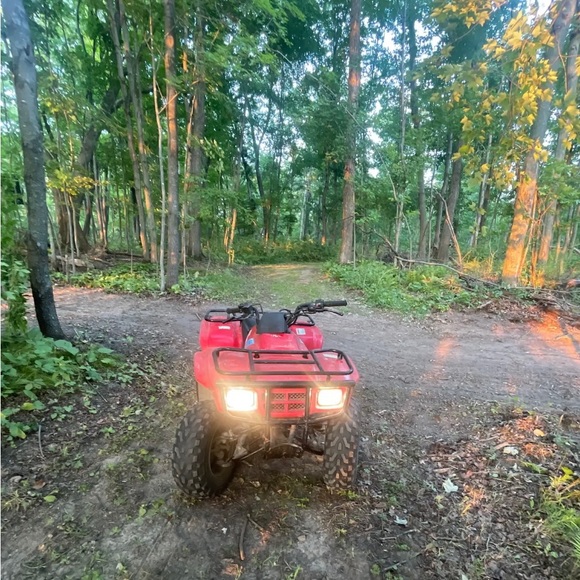 Meet your Posher, Elliana - Picture 1 of 1